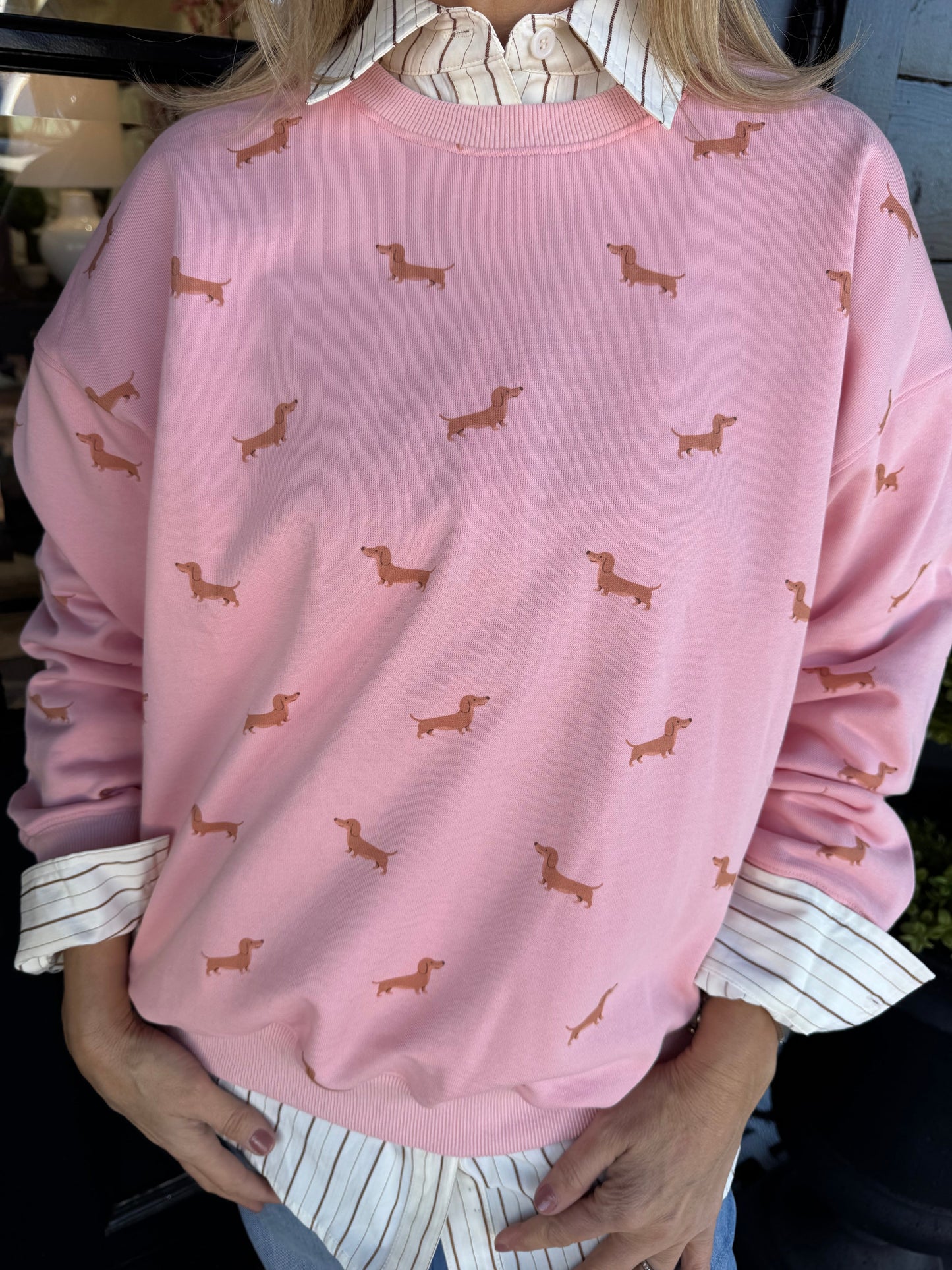 Zeus Dachshund Sweatshirt - Pink